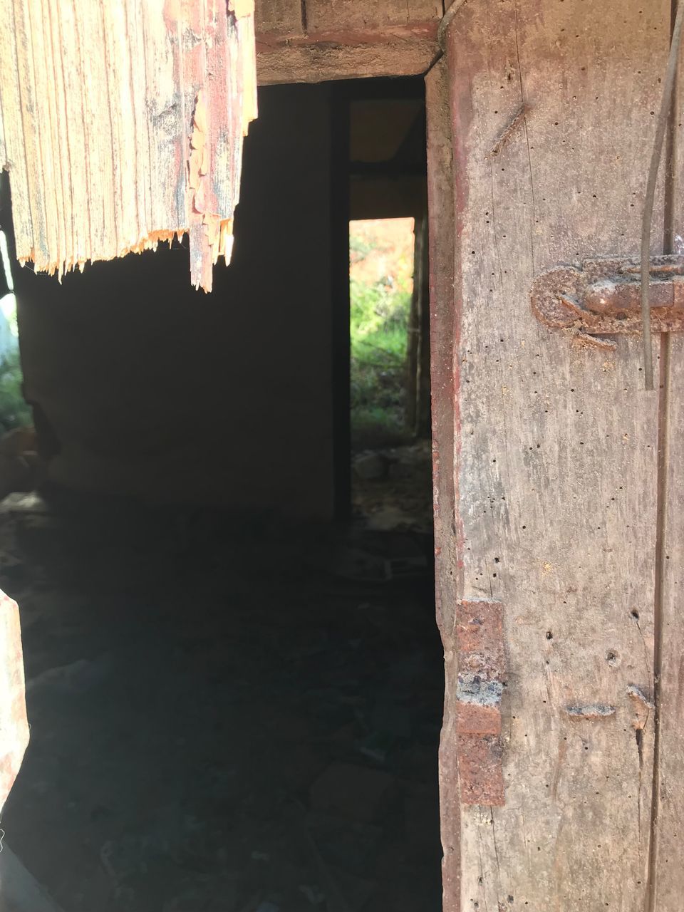 window, day, no people, indoors, architecture, built structure, open door, nature, close-up