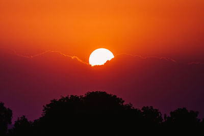 Silhouette trees against sky during sunset
