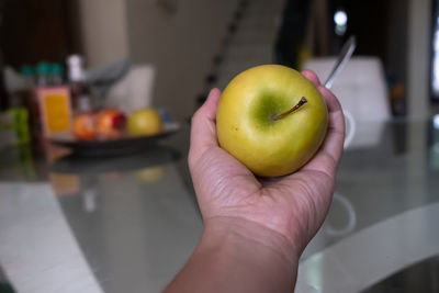 Close-up of hand holding apple