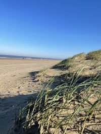 Scenic view of beach against clear blue sky