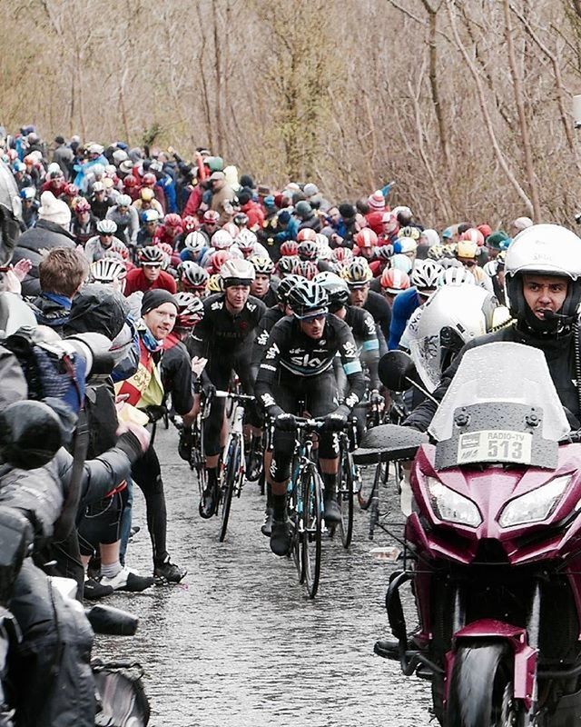 large group of people, transportation, men, mode of transport, person, lifestyles, abundance, in a row, large group of objects, bicycle, land vehicle, street, day, leisure activity, outdoors, travel, tree, the way forward, walking