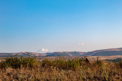 Scenic view of landscape against clear blue sky