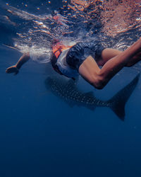 Man swimming in ocean with whaleshark