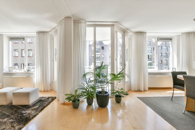 Potted plants on table at home