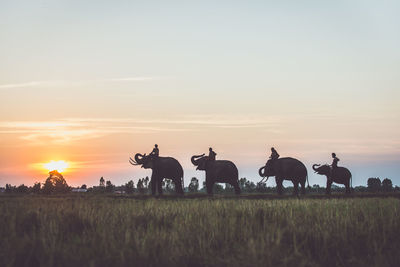 People on field against sky during sunset