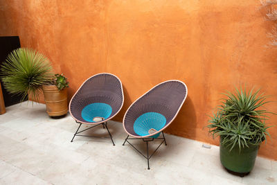 High angle view of potted plants on table against wall
