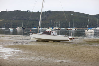 Boats moored at harbor