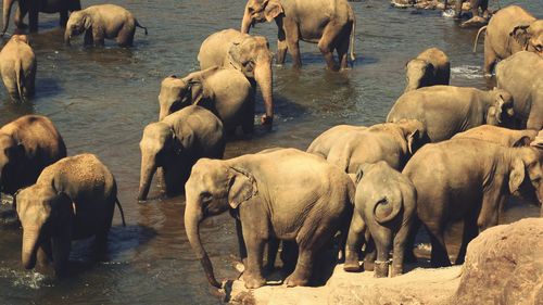 Group of people in the water