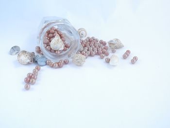 High angle view of shell on white background