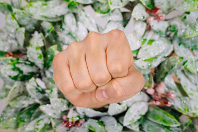 Close-up of human hand and christmas wreath