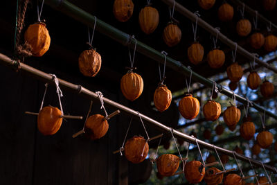 Low angle view of fruits hanging on wood
