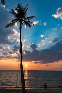 Silhouette palm tree on beach against sky during sunset