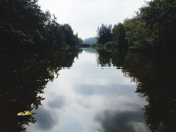 Reflection of trees in lake against sky