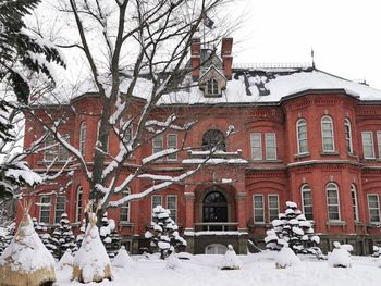 Bare trees by snow covered buildings in city