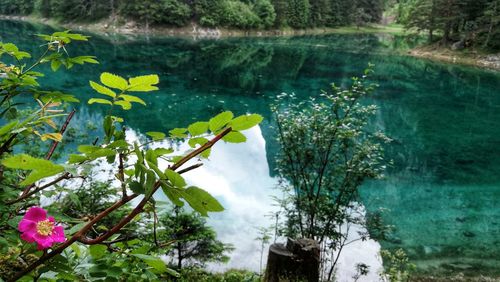 Scenic view of lake