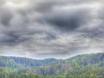 Scenic view of forest against sky