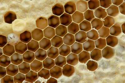 Full frame shot of patterned wall