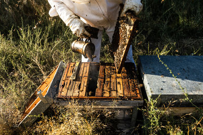 Crop anonymous beekeeper in protective gloves fumigating beehive with smoker while working on apiary in sunny day