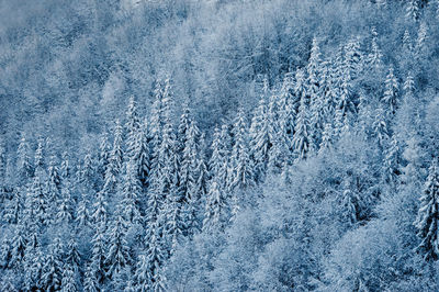 Full frame shot of snow covered land