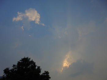 Low angle view of silhouette trees against sky