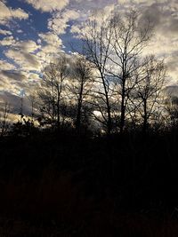 Silhouette bare trees on landscape against sky