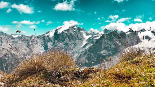 Birds flying over mountains against sky