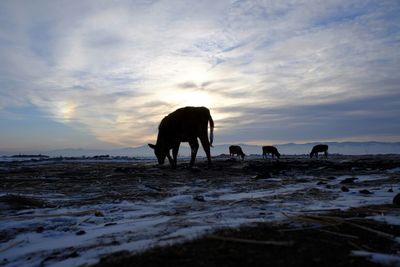 Scenic view of sea against cloudy sky