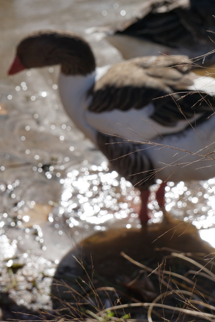 CLOSE-UP OF REFLECTION OF WATER IN BLURRED MOTION