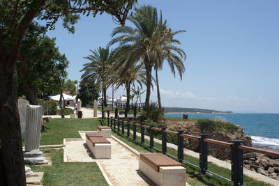 Palm trees by sea against sky