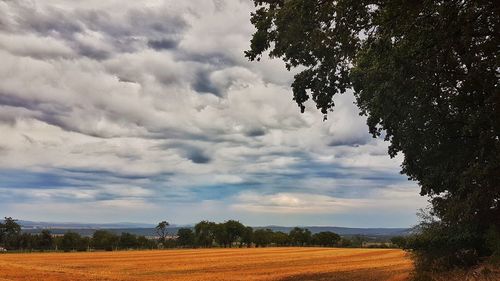 Scenic view of field against sky