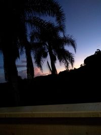 Low angle view of silhouette palm trees against sky