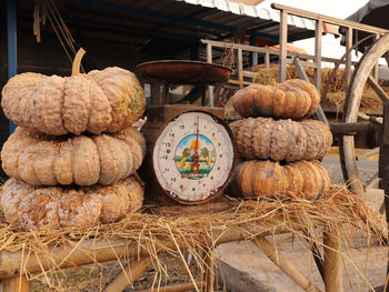 Close-up of pumpkins for sale in market