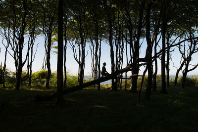 Silhouette woman sitting on fallen tree in forest