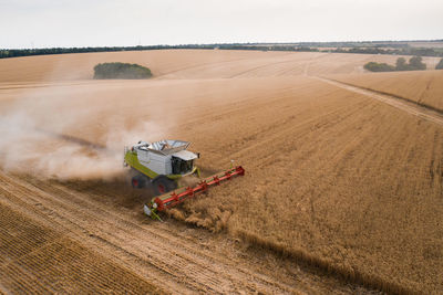 Scenic view of agricultural field