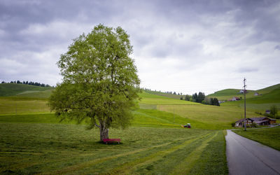 Scenic view of landscape against sky