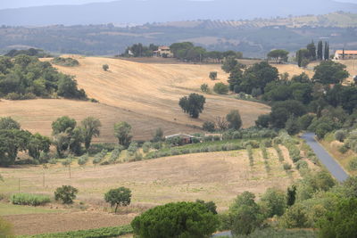 High angle view of trees on field against sky