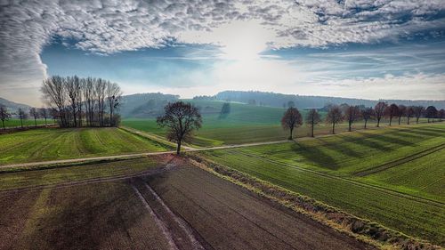 Scenic view of agricultural field against sky