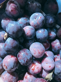 Full frame shot of blueberries