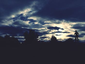 Silhouette of trees at sunset