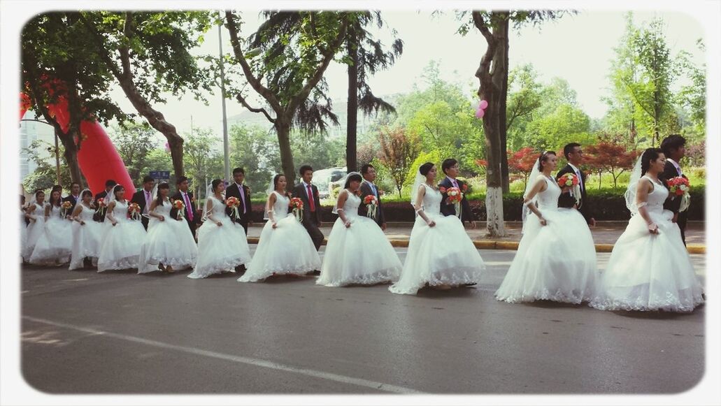 transfer print, large group of people, tree, auto post production filter, person, leisure activity, lifestyles, men, day, mixed age range, panoramic, in a row, outdoors, togetherness, clear sky, park - man made space, crowd, tourist, enjoyment