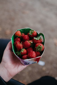 Midsection of person holding strawberries in container