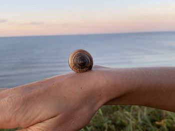  hand against sea against sky