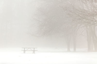 Snow covered landscape