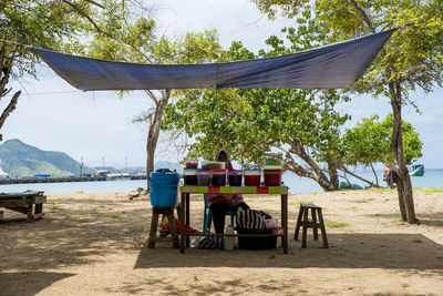 Rear view of people sitting on chair at table