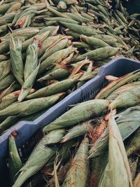 Full frame shot of corns for sale in market
