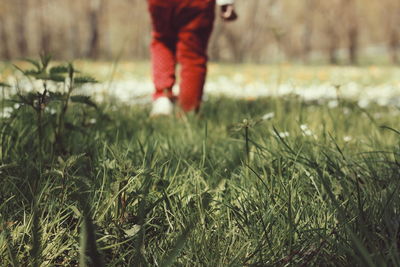 Low section of man on field