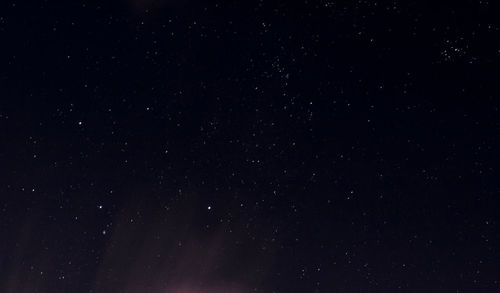 Low angle view of stars against sky at night