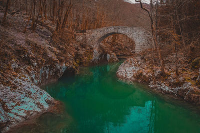 View of canal flowing through forest