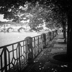 Railing by trees