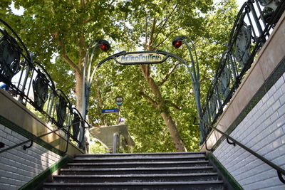 Low angle view of steps amidst trees